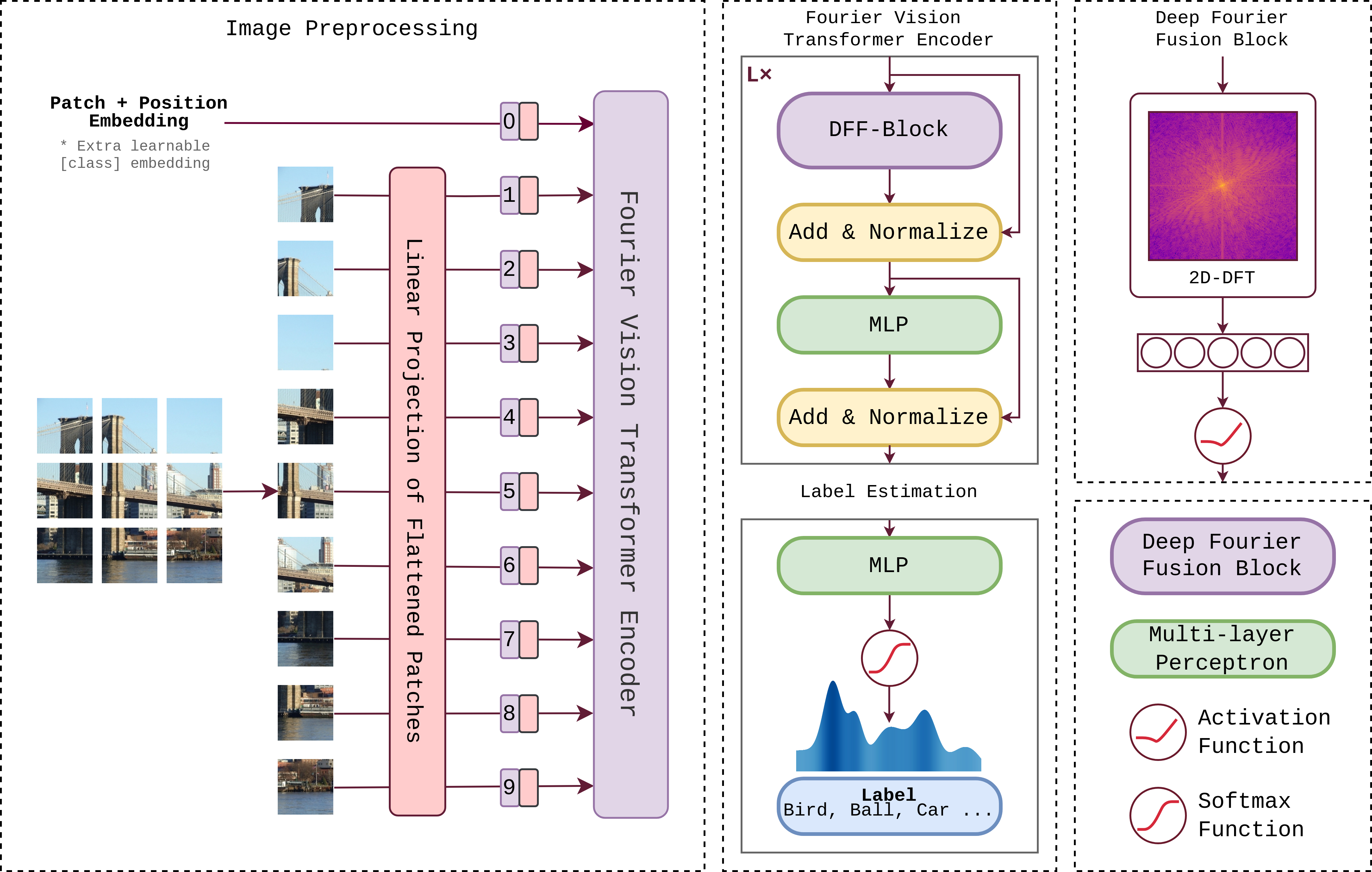 FoViT diagram